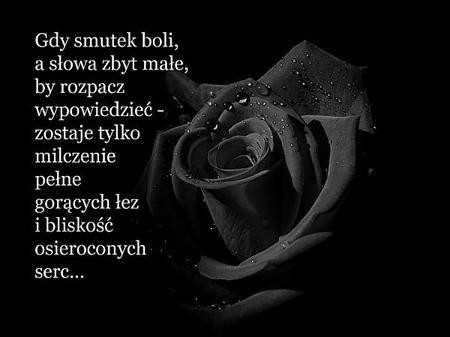 Czarna róża znaczenie - tajemnice i symbolika czarnej róży | Nasza strona 5 Moc czarnej róży