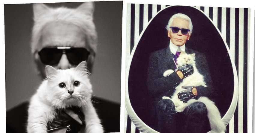 Karl Lagerfeld - ikona mody i jego miłość do kotów