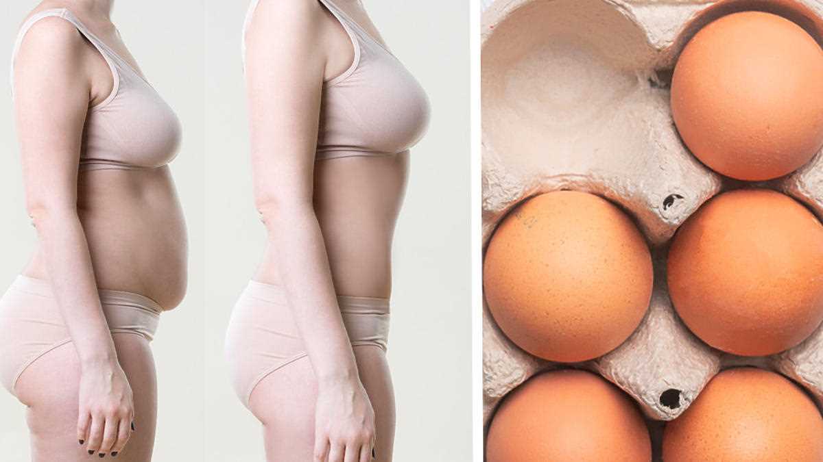 Zawartość składników odżywczych w jajkach