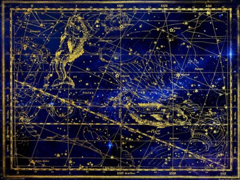 Cechy charakterystyczne zwierząt w chińskim horoskopie