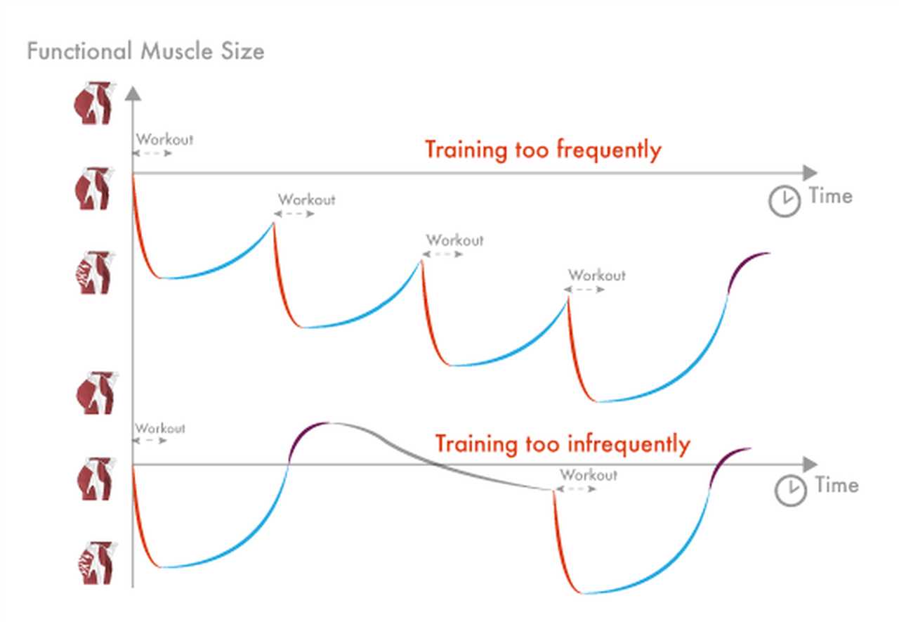 Jak długo powinien trwać trening na siłowni?
