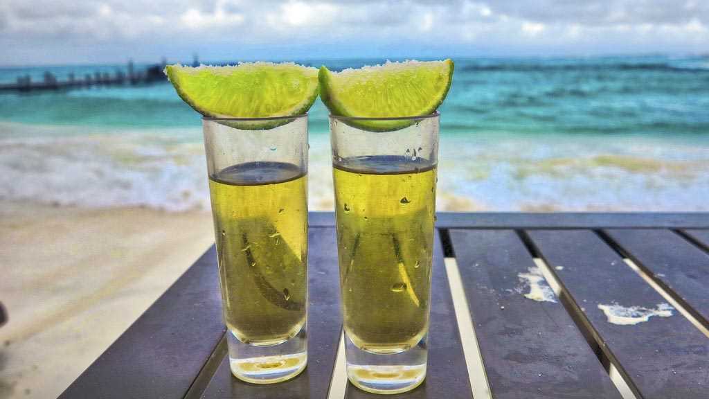 Jak pić tequilę - poradnik dla początkujących 4 Podsumowanie