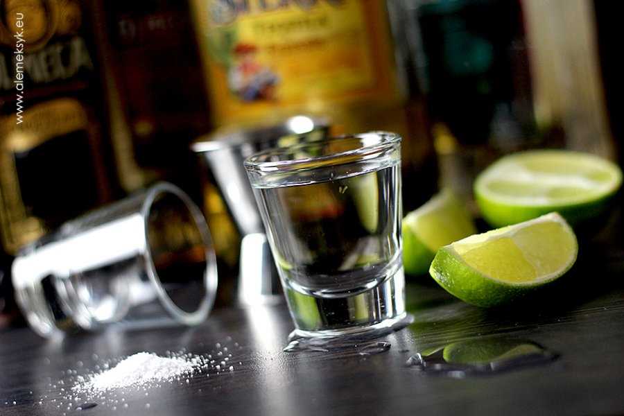 Jak pić tequilę - poradnik dla początkujących 12 Jakie są różnice między tequilą a innymi alkoholami?