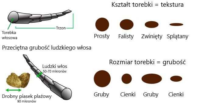Jak pogrubić cienkie włosy - Skuteczne sposoby i porady | Nazwa Strony 2 Stosuj odpowiednie metody stylizacji
