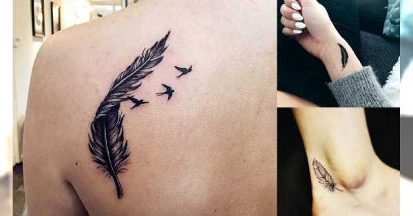Tatuaże pióra wzory - Najlepsze pomysły na tatuaż pióro