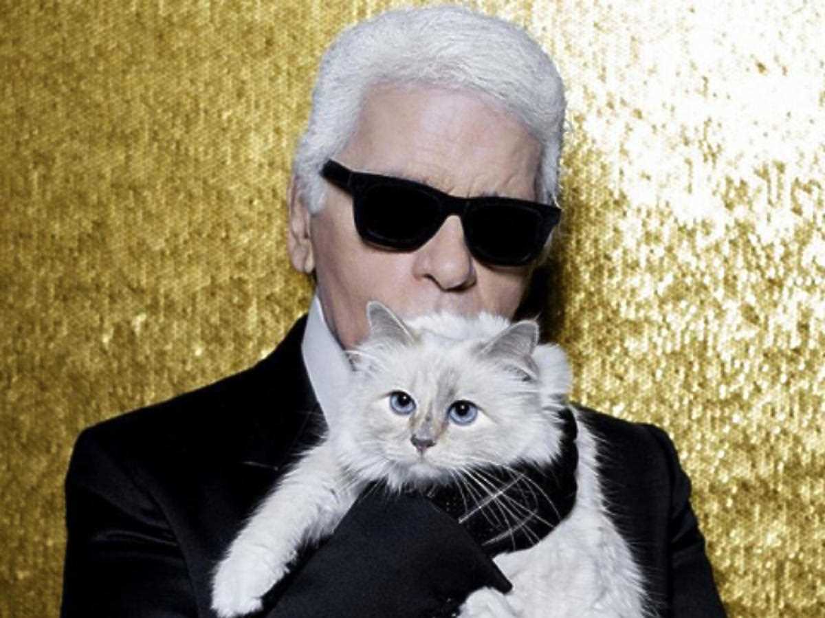 Miłość Karl Lagerfelda do kotów