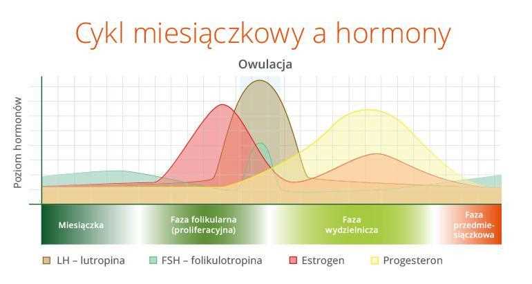 Metody obliczania owulacji