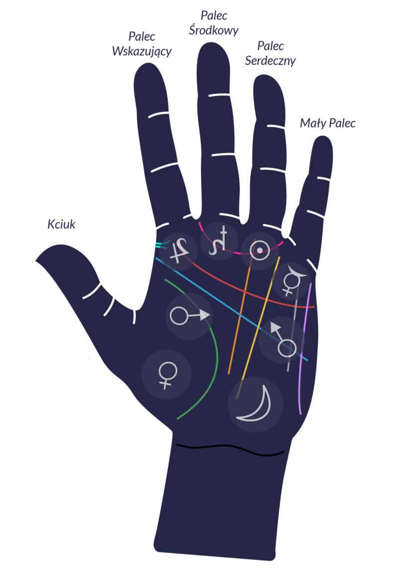Jak czytać znaki na dłoni?